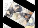 Naruto x Sasuke - Remember me