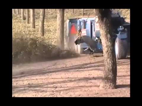 how to harvest pecans