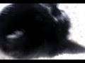 LostAlone Episode 1 - The Dawning Of The Second Age