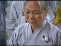 Bông H?ng Cài Áo - Chùa Ho?ng Pháp Bông H?ng Cài Áo - Chùa Ho?ng Pháp