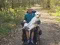 balade foret avec ouafs 2
