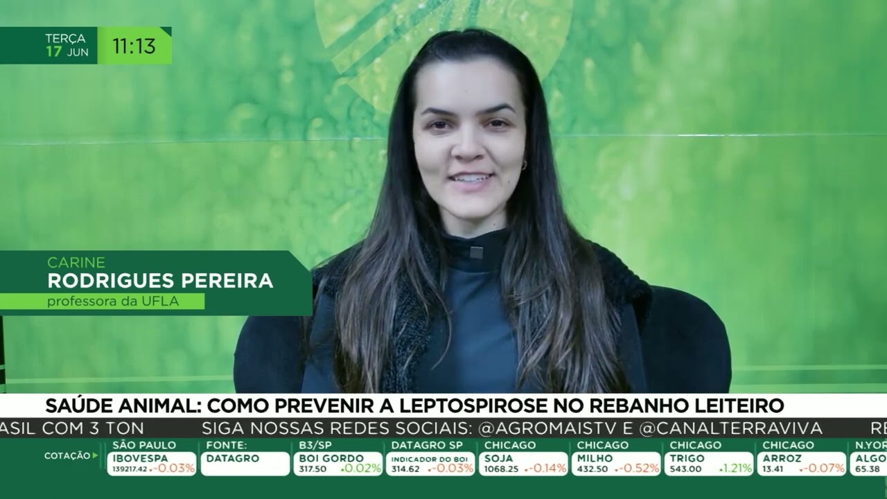Saúde animal: como prevenir a leptospirose no rebanho leiteiro
