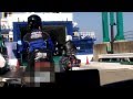 伊豆天城越え・河津七滝ループ橋☆駿河湾フェリークルーズ☆茶畑②