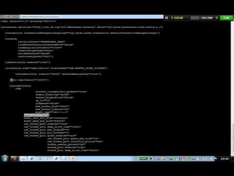 how to determine jboss version