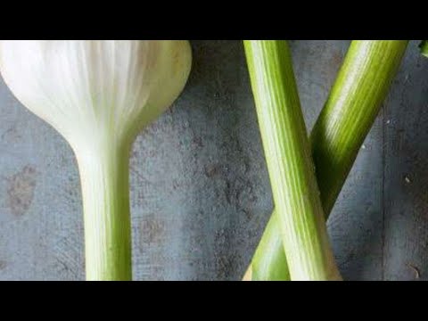 how to replant garlic