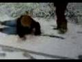 videos de Abby in the snow....Fallin over lol