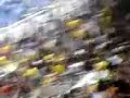 AEK-GayROI basket - Thumb #3
