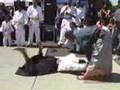 World Wide Jiu Jitsu Intense Pain Trailer