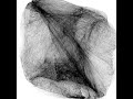 Hermitian interpolation of tenth grade attractor