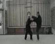 Introducing... Eight-Step Preying Mantis kung fu - Clip #1