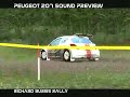 Richard Burns Rally Peugeot 207 S2000 noiker