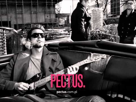 PECTUS