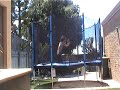 quadruple backsault