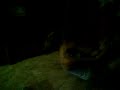 La niña del exorcista (versión rubia xD)