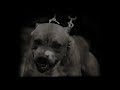 this is the original pit bull problem video that inspired all the others. it debuted october 2004 on deviantart.com. by popular demand, i have finally uploaded to youtube!!  -z