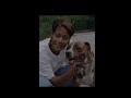 The ORIGINAL \"Pit Bull Problem\" Video The ORIGINAL \"Pit Bull Problem\" Video