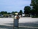 équitation