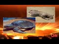 Il Mostro di Montauk (Montauk Monster) Il Mostro di Montauk (Montauk Monster)