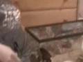 Setting up your snake's vivarium