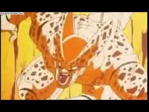 tenshinhan's kikoho!