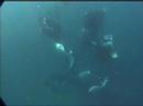 Maldive Mante 2006 seconda parte