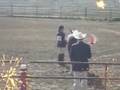 pa state 4h horse show qualifier