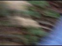 rallye montbrisonnais accident porsche 2008