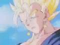 DBZ- Vegito Tribute