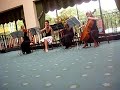 My Heart Will Go On - TULIPANY STRINGS QUARTET