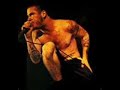 Pantera Tribute Pantera Tribute