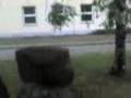 videos de Aisha