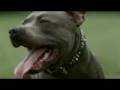 Land Rover - Rugby - We Support Eventing
