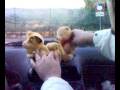 videos de simone fa scopare i pupazzi