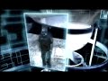 re.aktor - damage zone