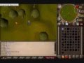 videos de fast magic logs xp