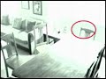 Fantasma