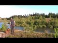 Nova Scotia Duck Tolling Retriever
