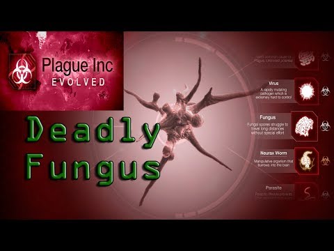 how to beat fungus plague inc brutal