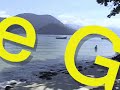 Costa Verde - Uma cadeia Ecol�gia (BR 101/Ita�ca/RJ/BRA)