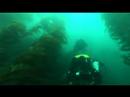 Casino Point Rebreather Diving