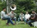 videos de 174