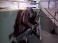 SNIPER - La France (FREECLIP No 1) SNIPER - La France (FREECLIP No 1)