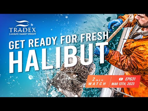 3MMI - Fresh Halibut To Hit The Market; Up to 800,000lbs Harvested Over First Two Weeks; Pricing Strong All Year