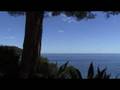 videos de vue LP mer tom.mpg