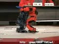 Robot Fighting Robot Fighting