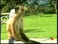 Valentina y Orestes - parte 03 Valentina y Orestes - parte 03