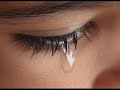 Reza Yazdani - Marge Tadrijie Yek Roya [New Version]