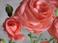 rose di anna marinelli