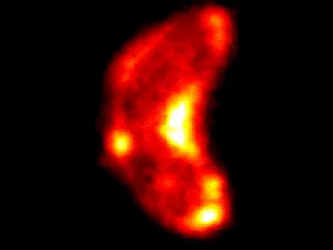 Quantitative imaging of intact cells and tissues by multi-dimensional confocal fluorescence microsc