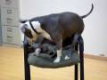 videos de dog eats kitten part 3 of 3